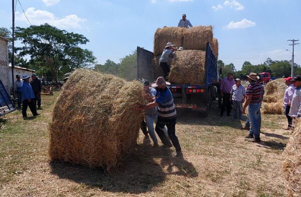 Productores afectados por sequía reciben asistencia en Misiones - Nacionales - ABC Color