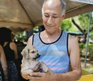 Crónica / Perritos y gatitos encontraron un hogar en jornada de adopción