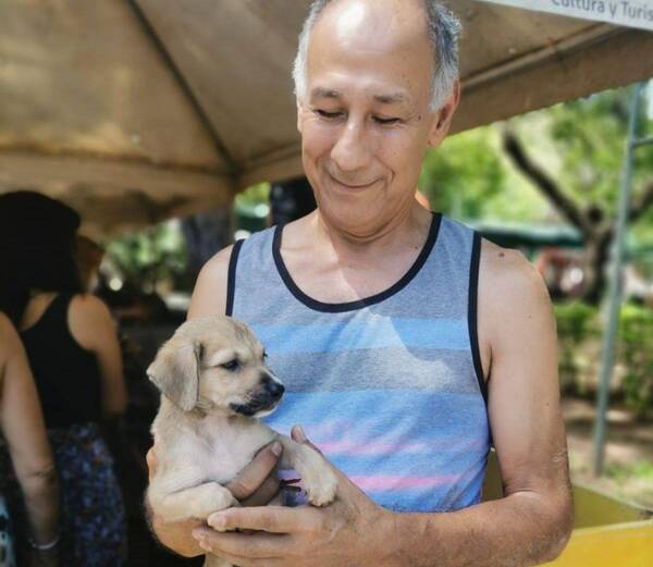 Crónica / Perritos y gatitos encontraron un hogar en jornada de adopción