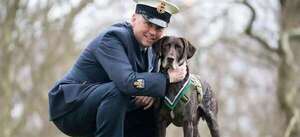  Un perro bastante heroico