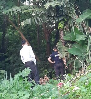 Hallan cuerpo en estado de descomposición en una zona boscosa de Pedro Juan - Nacionales - ABC Color