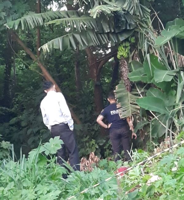 Hallan cuerpo en estado de descomposición en una zona boscosa de Pedro Juan - Nacionales - ABC Color