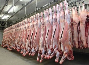 Analizan medidas para encarar problemática de exportación de carne a Rusia