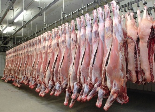 Analizan medidas para encarar problemática de exportación de carne a Rusia