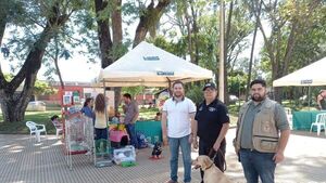 Mascotas reciben atenciones en zooferia de Caaguazú