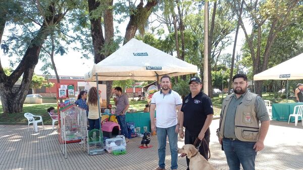 Mascotas reciben atenciones en zooferia de Caaguazú