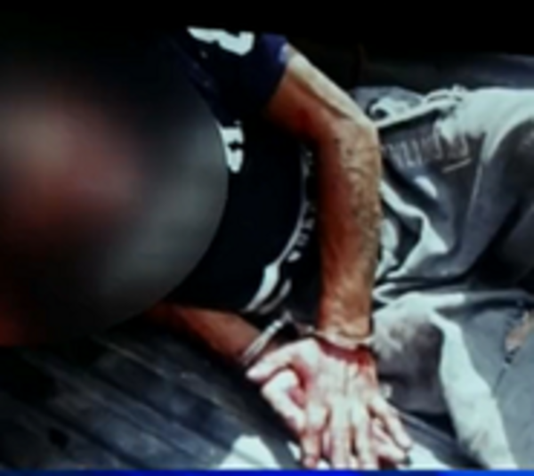 Enorme perro frustró un asalto en Asunción - Paraguay.com