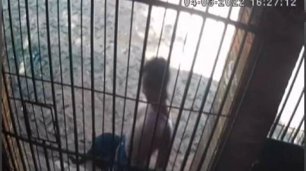 Crónica / Un “machetero volador” fue reducido tras armar sarambi