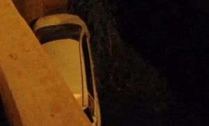 Auto cae a cuneta y conductora huye - Noticiero Paraguay