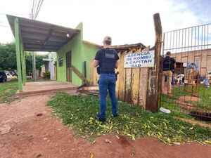 Incautan 251 kilos de marihuana en una agencia de encomiendas y trasnportes