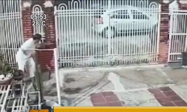 Propietario defendió su negocio a balazos | Telefuturo