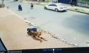 Un perro impide asalto en Asunción – Prensa 5