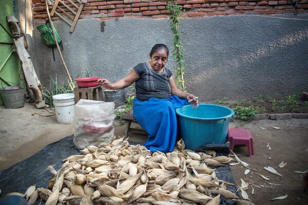 Las campesinas mexicanas aportan el 50 % de la producción de alimentos - MarketData