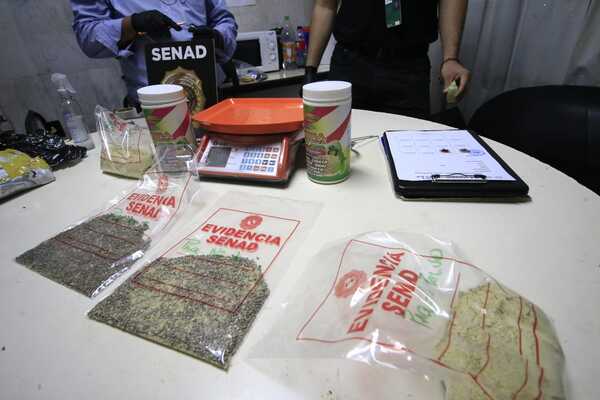 Diario HOY | Requisan encomienda de semillas de marihuana provenientes de Colombia