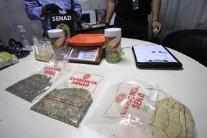 Crónica / Semillas malditas: incautan marihuana "transgénica"
