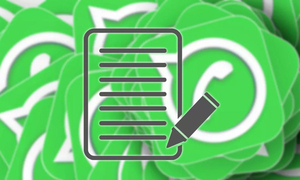 Podrás crear encuestas en los grupos de WhatsApp - OviedoPress