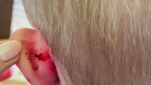 Denuncian a profesora por supuesta agresión a alumno de 9 años 