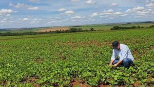 Empresa europea visita Paraguay para fortalecer relación con sojeros y apuntar a la sostenibilidad