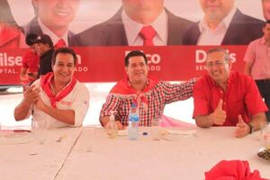 Saltan propiedades que no habrían sido declaradas por diputado cartista - Nacionales - ABC Color