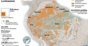 La Nación / En la Amazonia, el punto de inflexión ya está más cerca