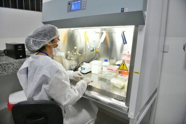 Covid-19 en baja: Salud Pública detecta 320 nuevos contagios y 11 muertes - Radio Imperio