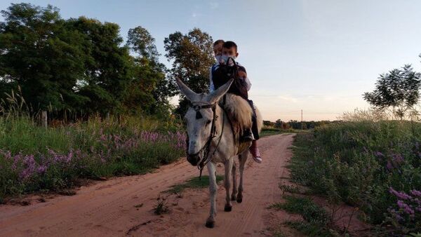 Niños anhelan bicicletas para hacer descansar a su burro que los lleva a la escuela - Noticiero Paraguay