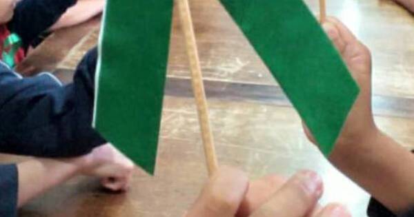 La Nación / Niña de 12 años fue mamá y ambas están cuidadas en casa de abrigo de CDE
