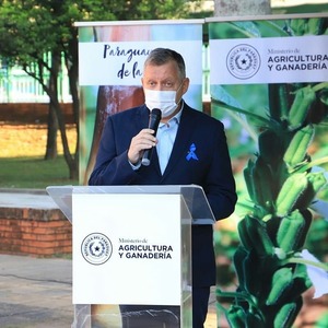 IICA resalta las medidas que se impulsan en el país para auxiliar a productores afectados por sequía - .::Agencia IP::.