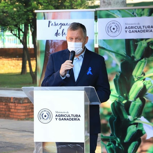IICA resalta las medidas que se impulsan en el país para auxiliar a productores afectados por sequía - .::Agencia IP::.
