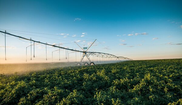 Novedades de Innovar: inteligencia artificial, insumos ecológicos y plantas fotovoltaicas al servicio del campo | OnLivePy