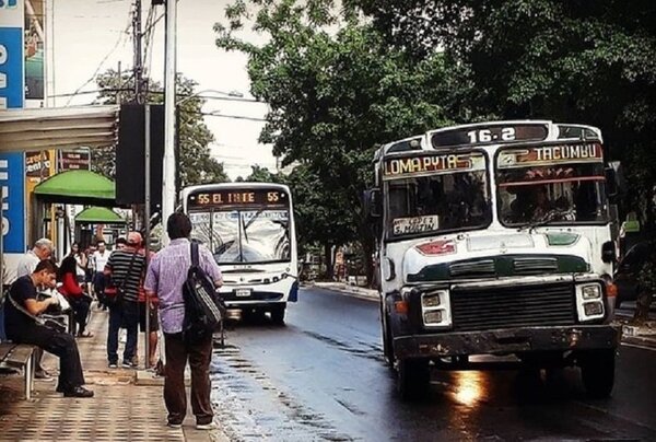 Maridaje del transporte - El Independiente
