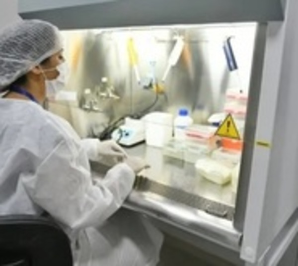 Detectan 410 nuevos contagios de coronavirus y 12 muertes - Paraguay.com