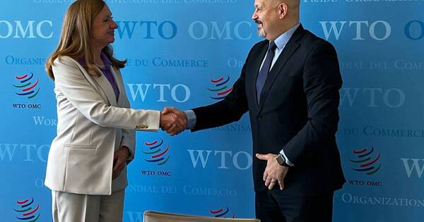 La Nación / Paraguay pide mejorar condiciones del sistema multilateral de comercio ante la OMC