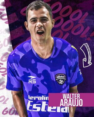 Sudamericana: Walter Araújo anota en triunfo de Metropolitanos - Fútbol - ABC Color