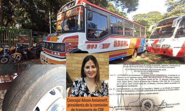 SD sigue operando con licencia de Santo Domingo, empresa de familia de la concejal Anisimoff