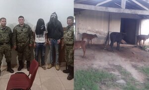 Detienen a dos abigeos y recuperan terneros robados en R.I 3 Corrales - Noticiero Paraguay