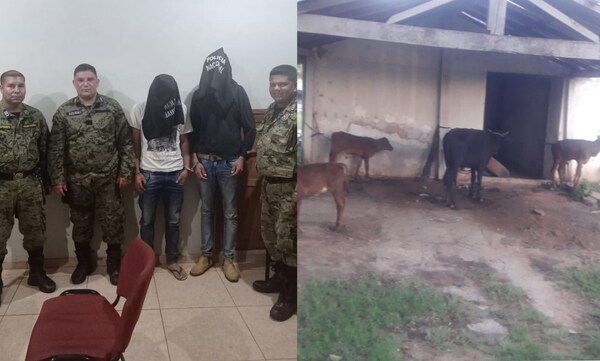 Detienen a dos abigeos y recuperan terneros robados en R.I 3 Corrales - Noticiero Paraguay
