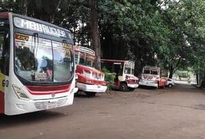 Furgones del transporte alternativo cubrirán itinerario de suspendida empresa Mburucuyá - La Clave
