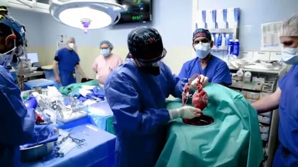 Muere dos meses después el paciente con un corazón de cerdo trasplantado