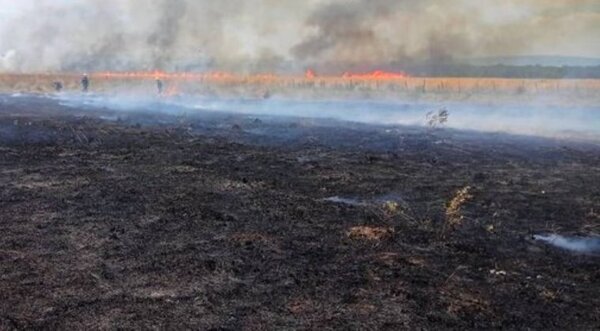 EBY fortalece apoyo a sectores productivos afectados por la sequía e incendios