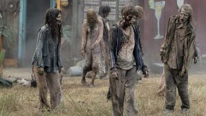 “The Walking Dead” tendrá una nueva serie derivada - Cine y TV - ABC Color