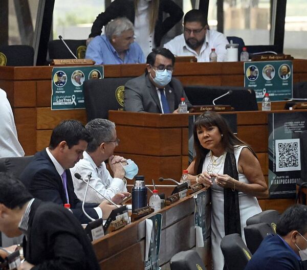 Diputados denunciados por su colega Amarilla se victimizan - Nacionales - ABC Color
