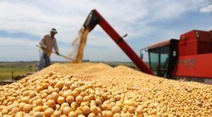 Hacienda confirma histórica y brutal caída en cosecha de la soja