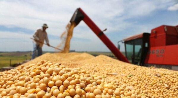 Hacienda confirma histórica y brutal caída en cosecha de la soja