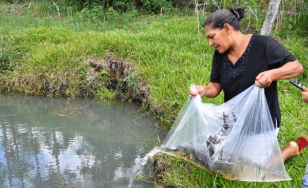 Entregan alevines de pacú a pequeños productores de Alto Paraná