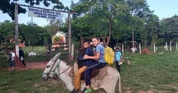 Crónica / Niños que iban a la escuela sobre un burrito ya tienen bici