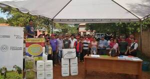 La Nación / MAG asiste a bananeros tras caída del 20% de la producción a consecuencia de la sequía
