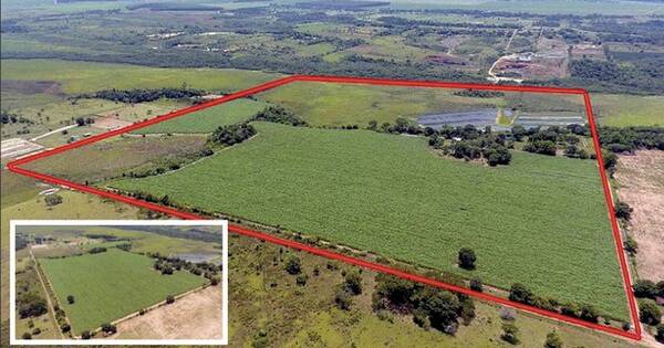 La Nación / Giuzzio maquilla cuota de préstamo que respalda compra de granja