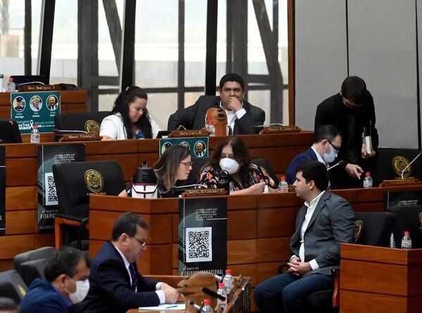 Desisten por ahora de presentar libelo contra Sandra Quiñónez - Nacionales - ABC Color