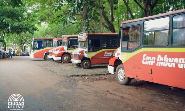 Intendente suspende circulación de buses deMburucuya e inicia la rescisión del contrato – Diario TNPRESS